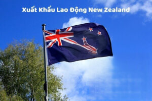 LAO ĐỘNG NEW ZEALAND